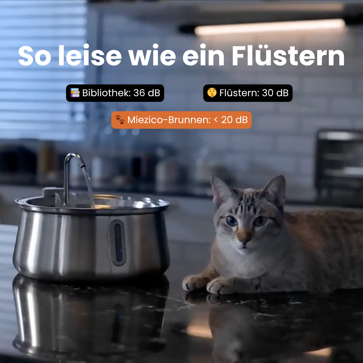 Miezico Katzen Trinkbrunnen aus Edelstahl – leise, hygienisch & filtert Wasser