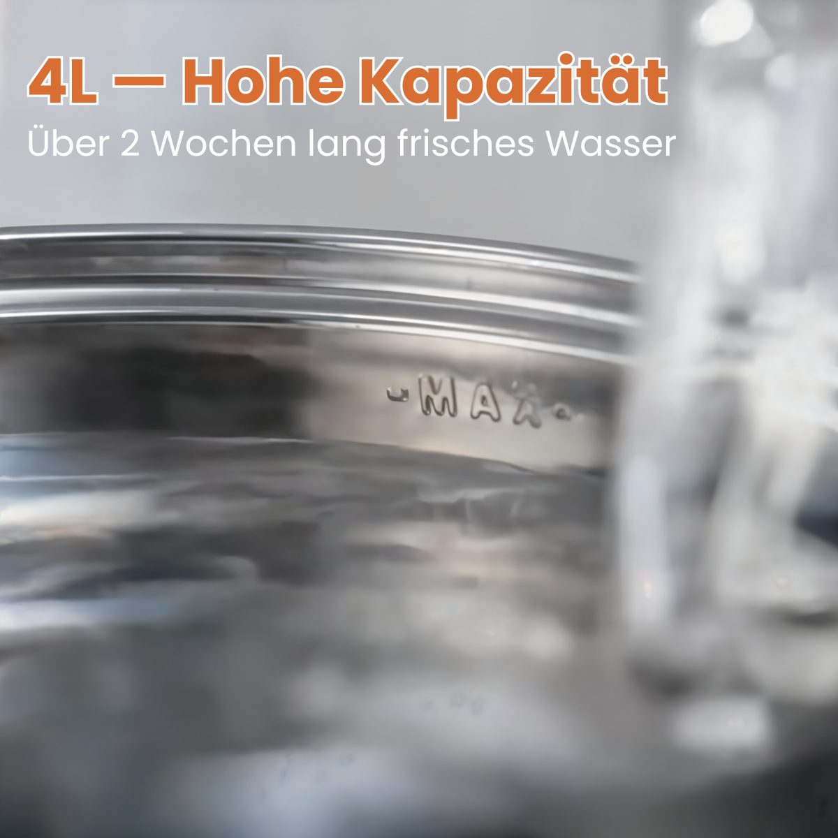 Miezico Katzen Trinkbrunnen aus Edelstahl – leise, hygienisch & filtert Wasser